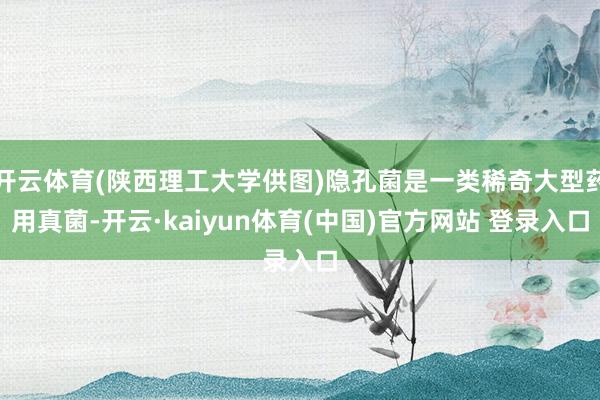 开云体育(陕西理工大学供图)隐孔菌是一类稀奇大型药用真菌-开云·kaiyun体育(中国)官方网站 登录入口