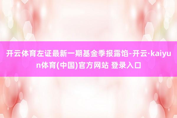 开云体育左证最新一期基金季报露馅-开云·kaiyun体育(中